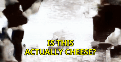 Is This Actually Cheese? The Shocking Truth!