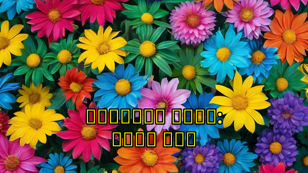 אוכל-ל-כל-הכוכב: ארוזת-של-סבח