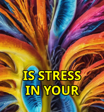 Is Stress in Your Stomach Hurting Your Kidneys?